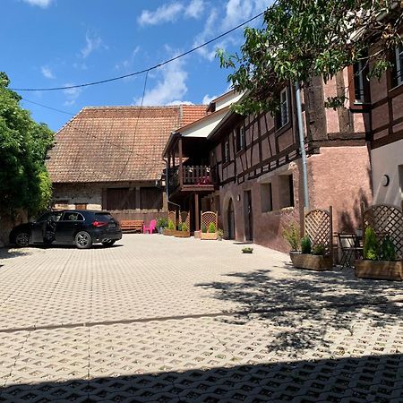 Doux Refuge Avec Terrasse Parking Gratuit Apartment Beblenheim Bagian luar foto