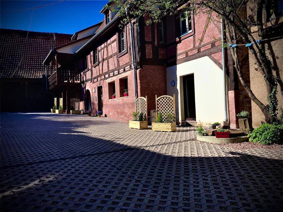 Doux Refuge Avec Terrasse Parking Gratuit Apartment Beblenheim Bagian luar foto